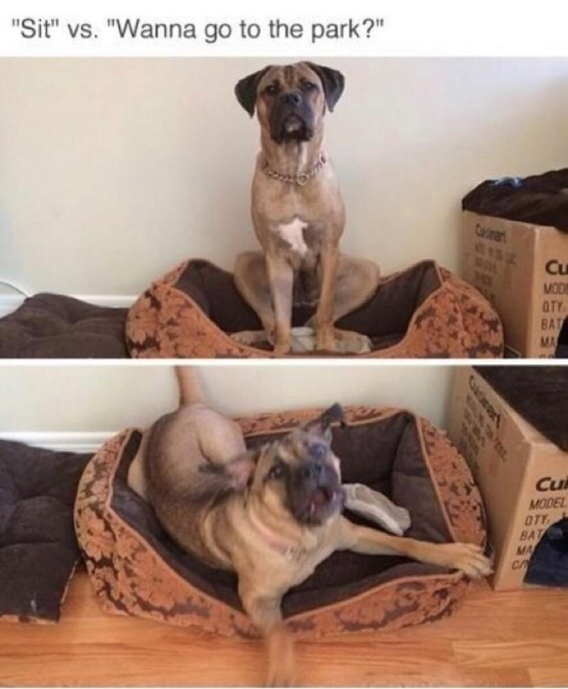 b i Sit vs Wanna go to the park