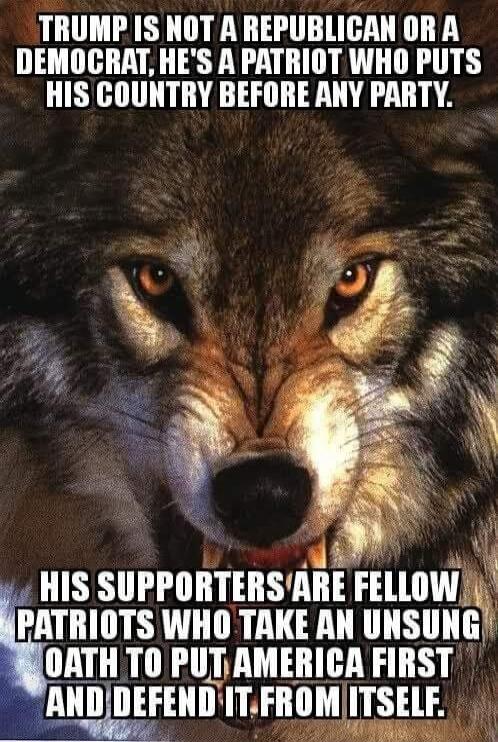 TRUMP IS NOT A REPUBLICAN OR A DEMOCRAT, HE'S A PATRIOT WHO PUTS HIS COUNTRY BEFORE ANY PARTY. HIS SUPPORTERS ARE FELLOW PATRIOTS WHO TAKE AN UNSUNG OATH TO PUT AMERICA FIRST AND DEFEND IT FROM ITSELF.