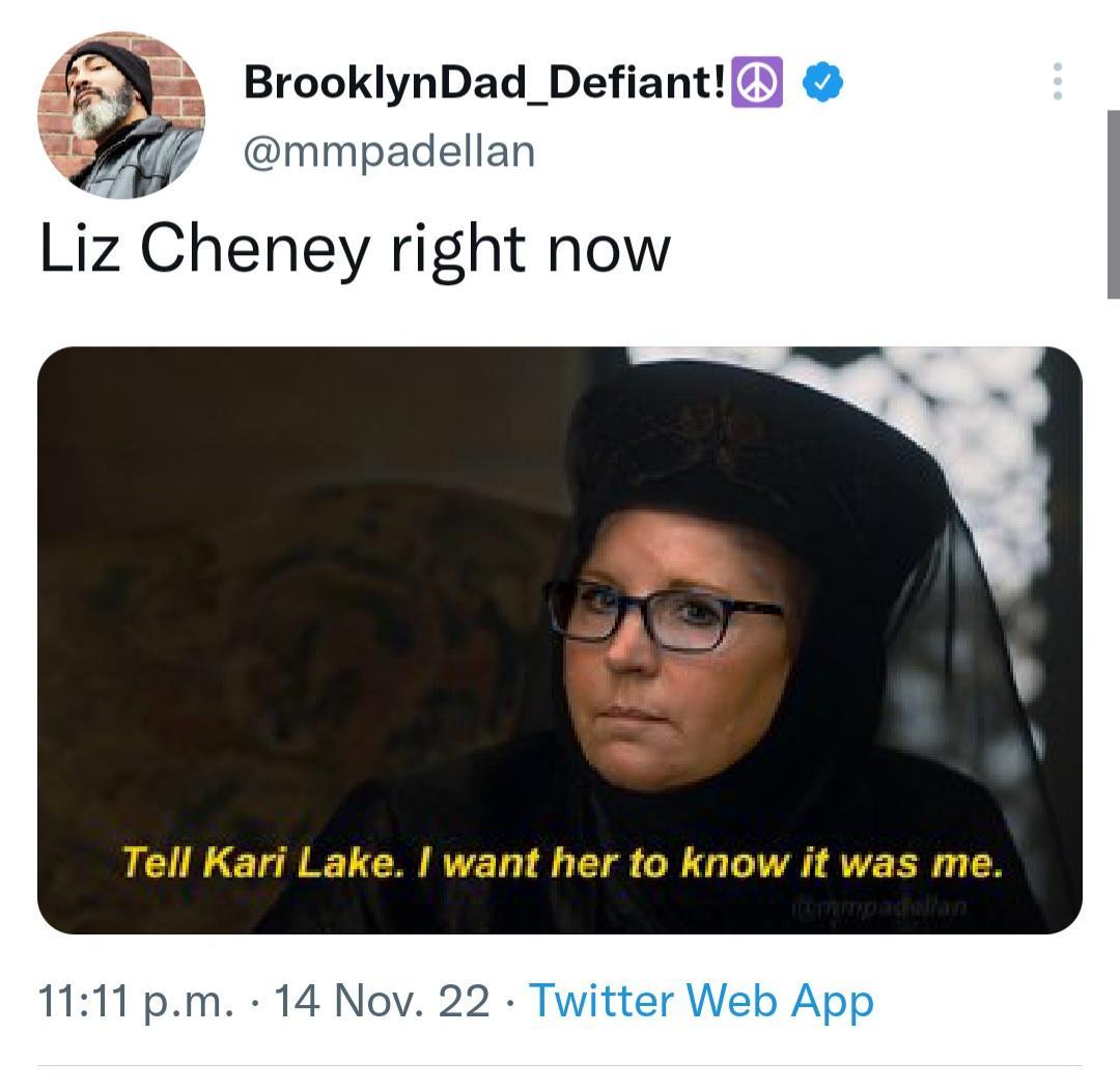 BrooklynDad_Defiant mmpadellan Liz Cheney right now Tell Kari Lake want her to know it was me 1111 pm 14 Nov 22 Twitter Web App