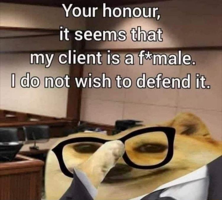 Your honour itscemsfiian myclientjisfalfgmale wishjtoldsfendit