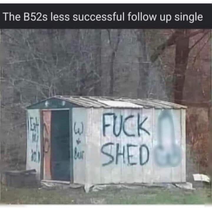 The B52s less successful follow up single FUCK SHED