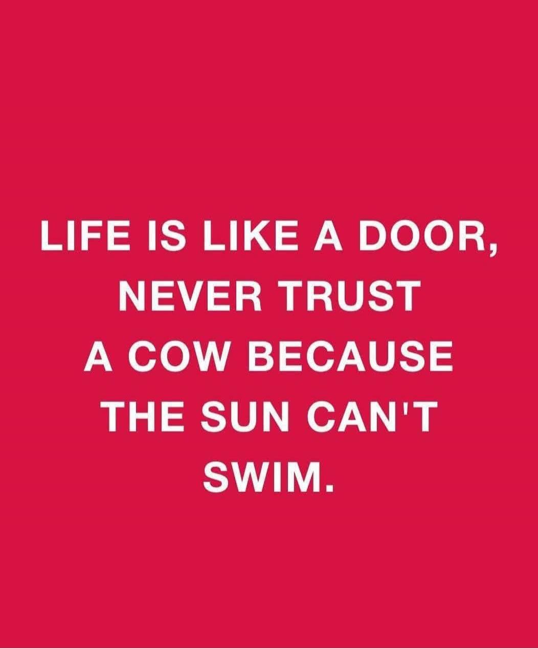 LIFE IS LIKE A DOOR, NEVER TRUST A COW BECAUSE THE SUN CAN'T SWIM.