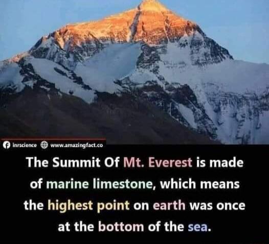 0 ioions weamasingtcio The Summit Of Mt Everest is made of marine limestone which means the highest point on earth was once at the bottom of the sea