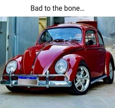 Bad to the bone...