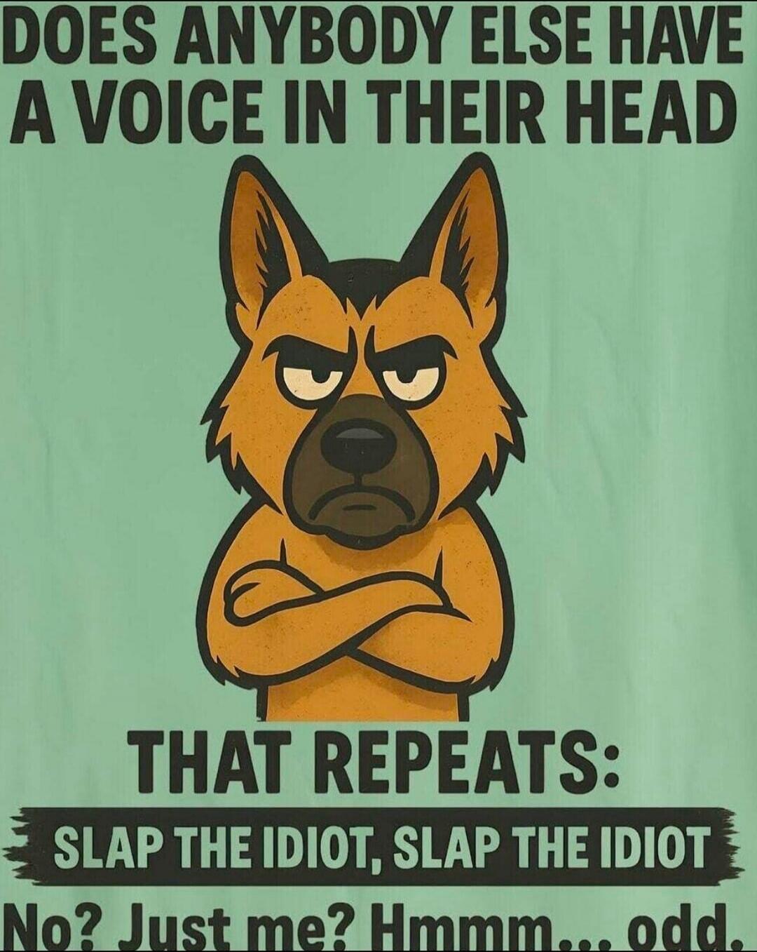 DOES ANYBODY ELSE HAVE A VOICE IN THEIR HEAD THAT REPEATS: SLAP THE IDIOT, SLAP THE IDIOT No? Just me? Hmmm...odd.