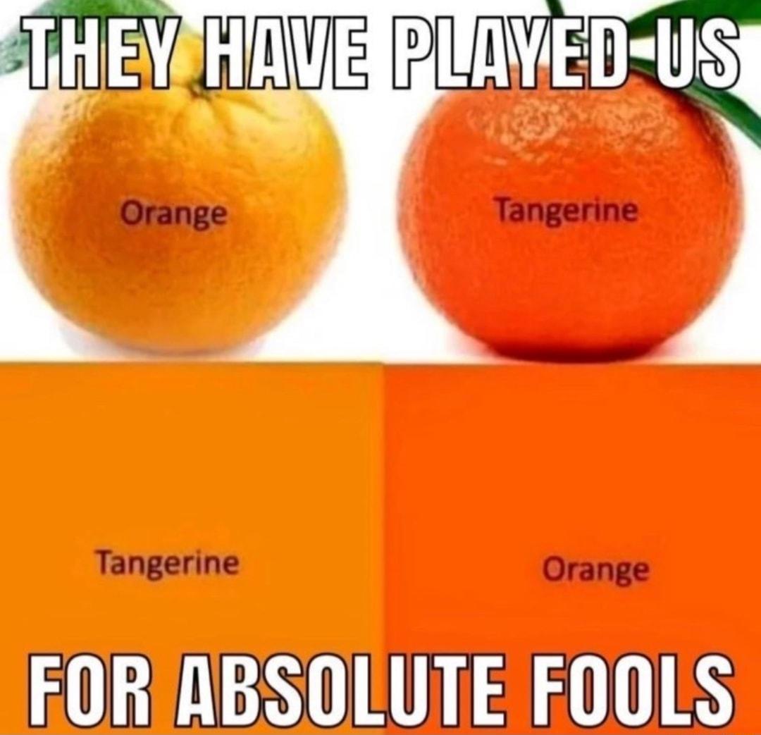 Tangerine Tangerine Orange