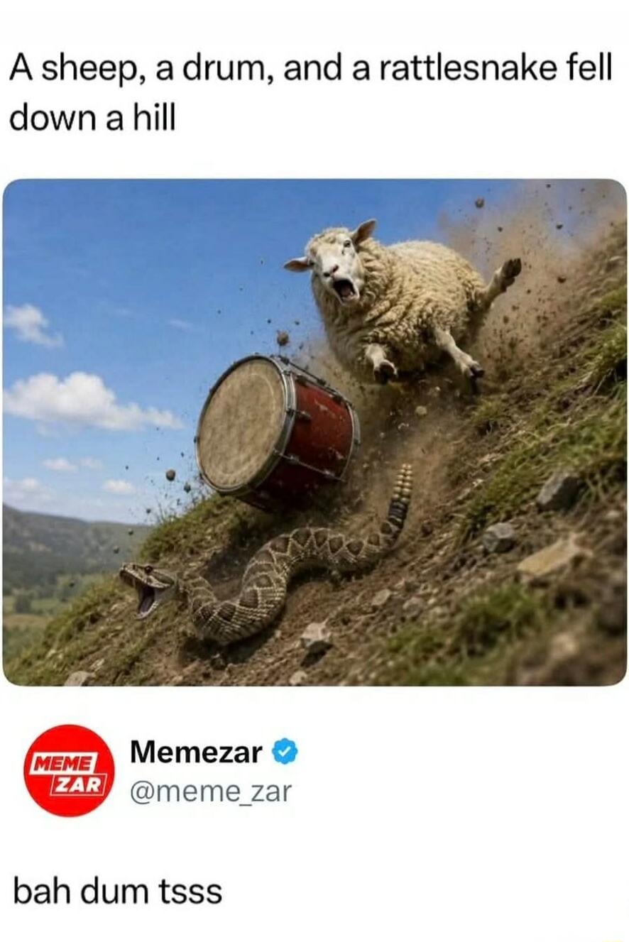 A sheep, a drum, and a rattlesnake fell down a hill Memezar @meme_zar bah dum tsss