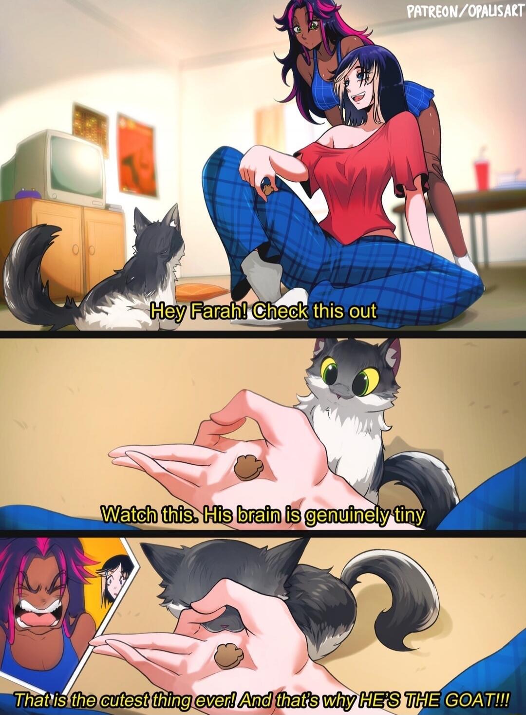 Hey Farah! Check this out. Watch this. His brain is genuinely tiny. That is the cutest thing ever! And that's why HE'S THE GOAT!!!