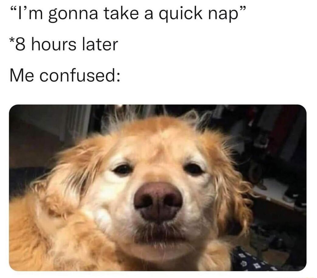 Im gonna take a quick nap 8 hours later Me confused