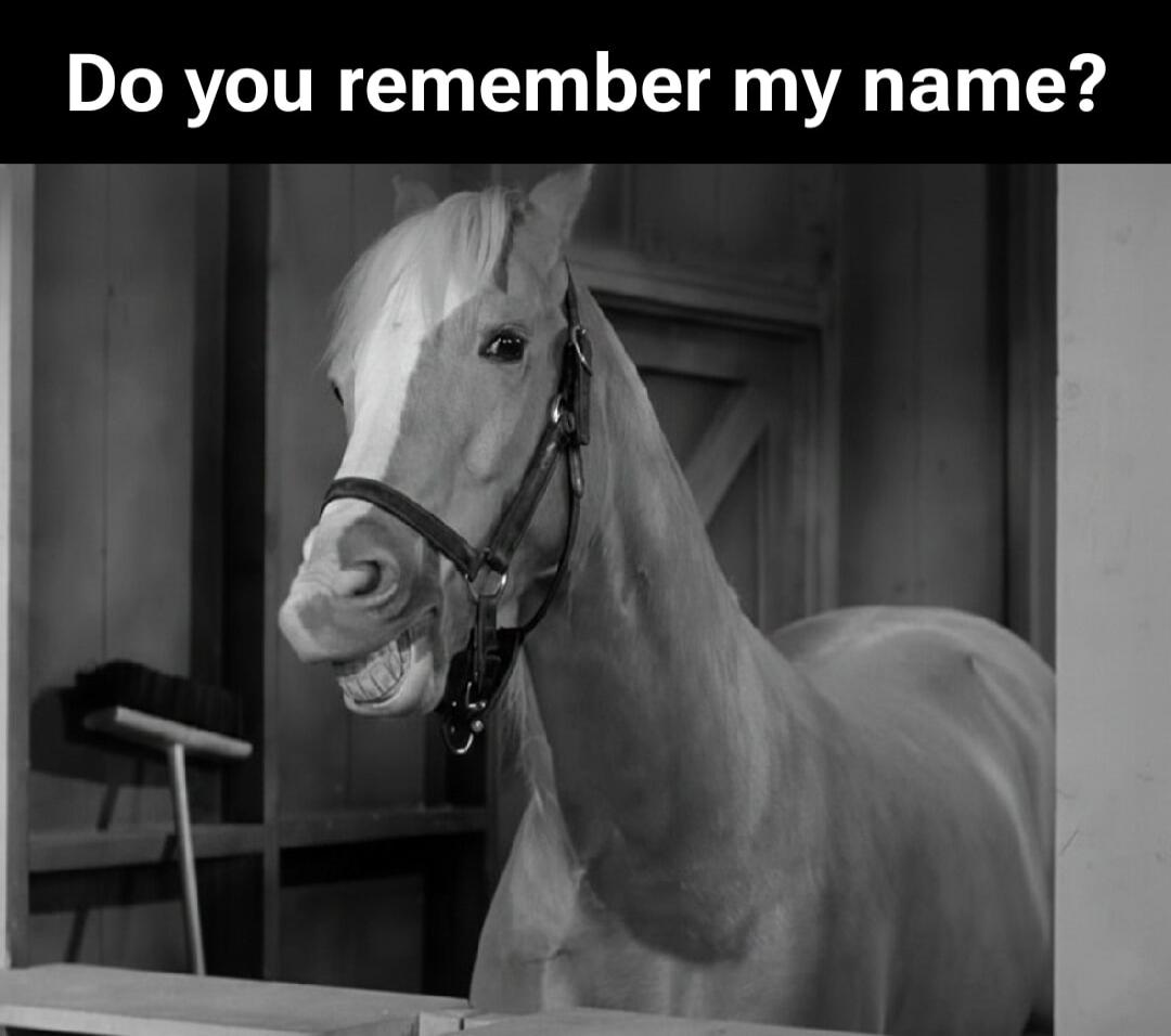 Do you remember my name?