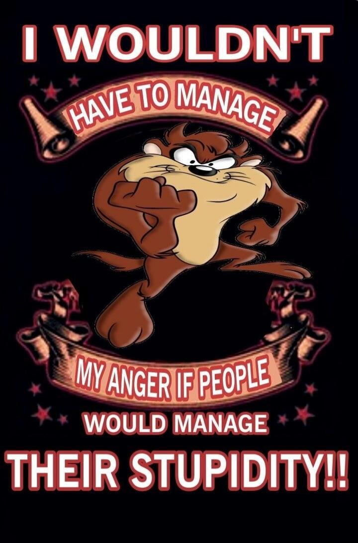 I WOULDN'T HAVE TO MANAGE MY ANGER IF PEOPLE WOULD MANAGE THEIR STUPIDITY!!