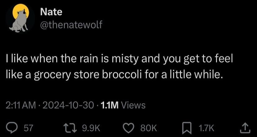 Nate GEREICT like when the rain is misty and you get to feel like a grocery store broccoli for alittle while 211AM 2024 10 30 1AM Views Q 57 Mok Qsok k