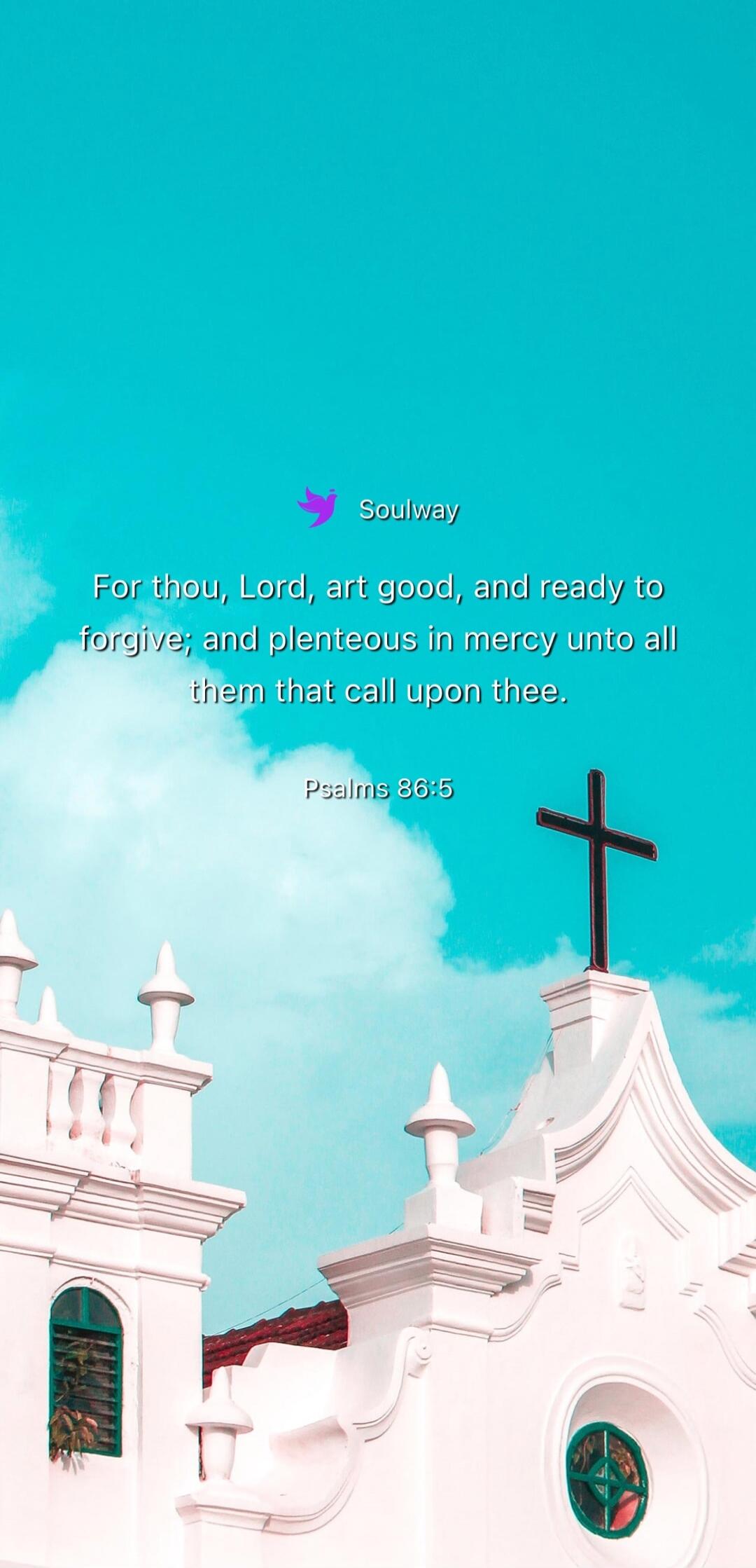 Soulway For thou, Lord, art good, and ready to forgive; and plenteous in mercy unto all them that call upon thee. Psalms 86:5
