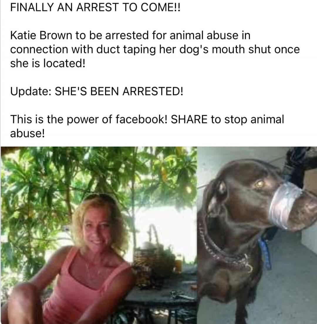 FINALLY AN ARREST TO COME!! Katie Brown to be arrested for animal abuse in connection with duct taping her dog's mouth shut once she is located! Update: SHE'S BEEN ARRESTED! This is the power of facebook! SHARE to stop animal abuse!