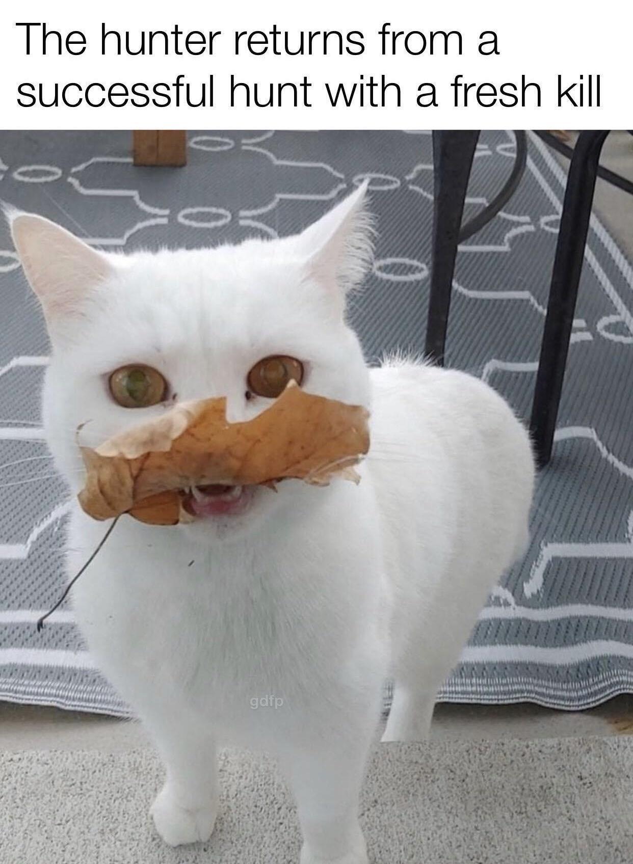 The hunter returns from a successful hunt with a fresh kill