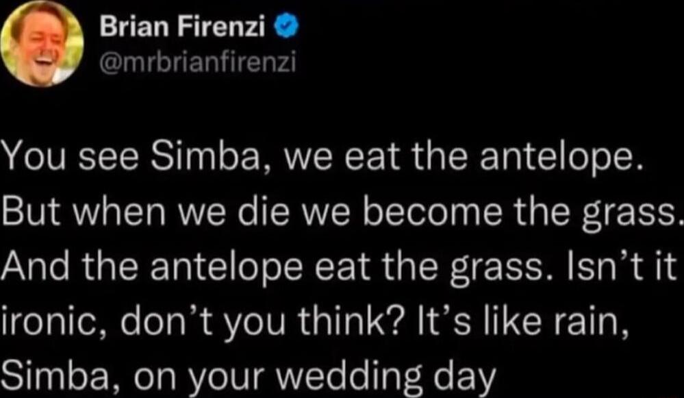 Brian Firenzi Il UERTTEN P You see Simba we eat the antelope But when we die we become the grass And the antelope eat the grass Isnt it ironic dont you think Its like rain Simba on your wedding day