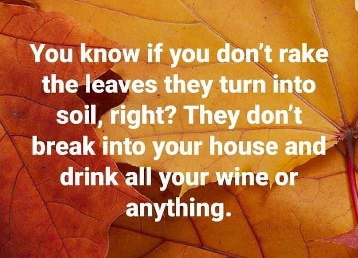 You know if you dont rake LU TR CEATEER G CAVR T4 W soil right They dont IR R GITETRET T R drink all yourwine or anything