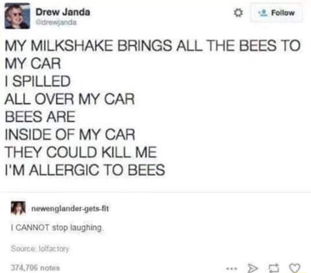 Drew Janda 3 2 Follow MY MILKSHAKE BRINGS ALL THE BEES TO MY CAR SPILLED ALL OVER MY CAR BEES ARE INSIDE OF MY CAR THEY COULD KILL ME IM ALLERGIC TO BEES N newenglander getsit CANNOT stop laughing 374706 notes D 8