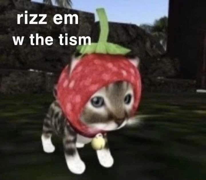 Jamee rizzem A LTRSS 45 77 N W o s