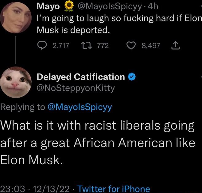 L E 9 MayolsSpicyy 4h Im going to laugh so fucking hard if Elon Musk is deported Q 277 A M2 Q 8497 A EIEWEL Kot i L R NoSteppyonKitty LTIV ER R V EWIEST Y What is it with racist liberals going after a great African American like SeTal VIVES 2303 121322 Twitter for iPhone