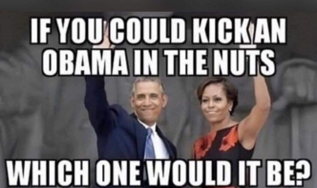 IF YOU COULD KICK AN OBAMA IN THE NUTS WHICH ONE WOULD IT BE?