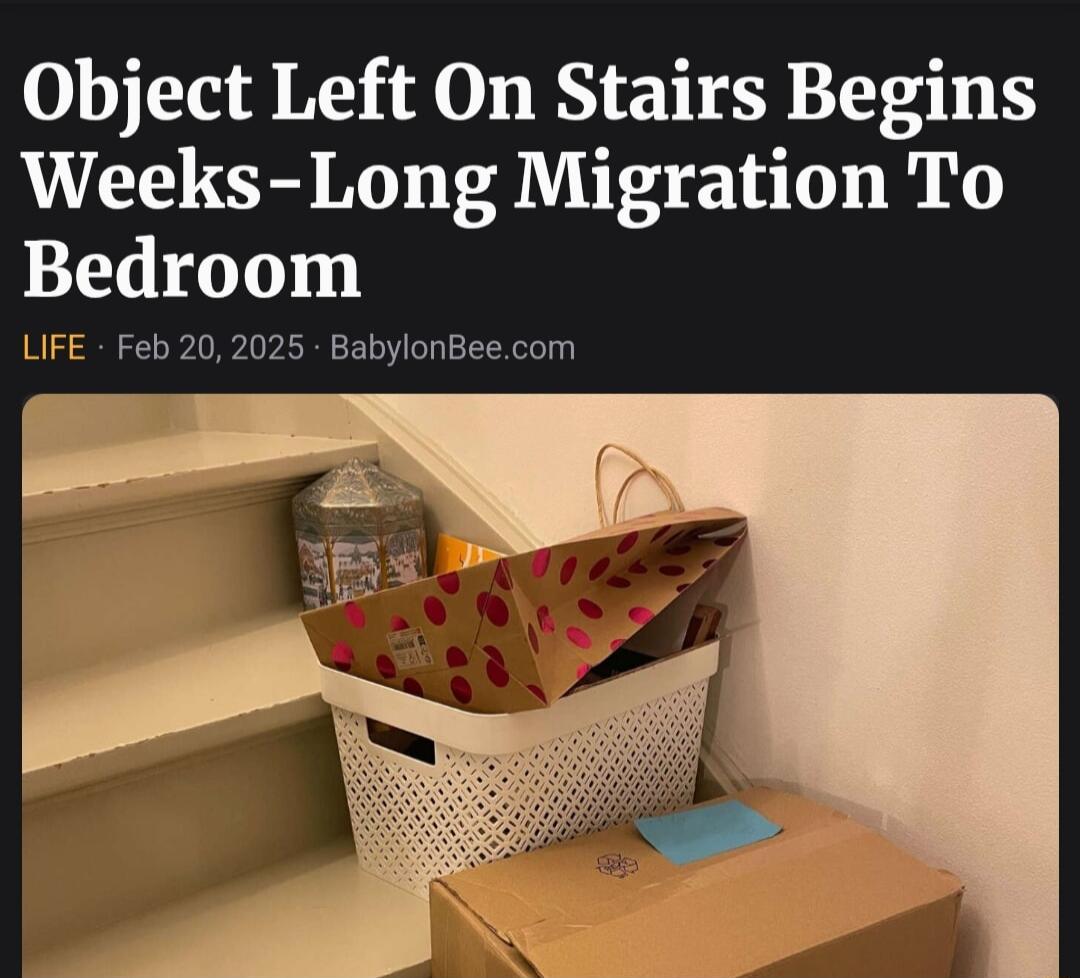 Object Left On Stairs Begins Weeks Long Migration To Bedroom LIFE Feb 20 2025 BabylonBeecom