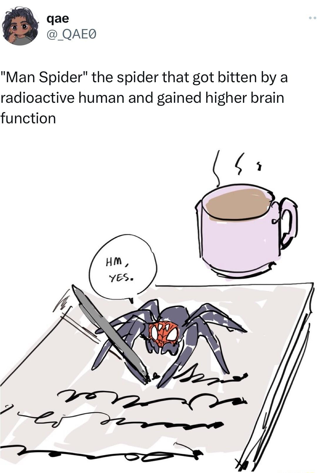 qae _QAEQ Man Spider the spider that got bitten by a radioactive human and gained higher brain function