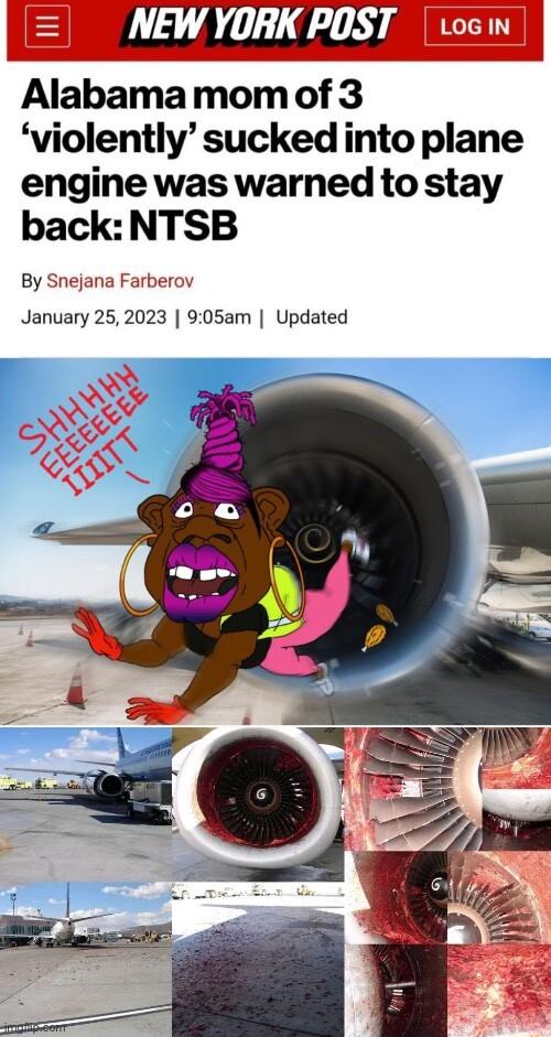 NEWYORKPOST voci Alabamamomof 3 violently suckedinto plane engine was warned to stay backNTSB By Snejana Farberov January 252023 905am Updated