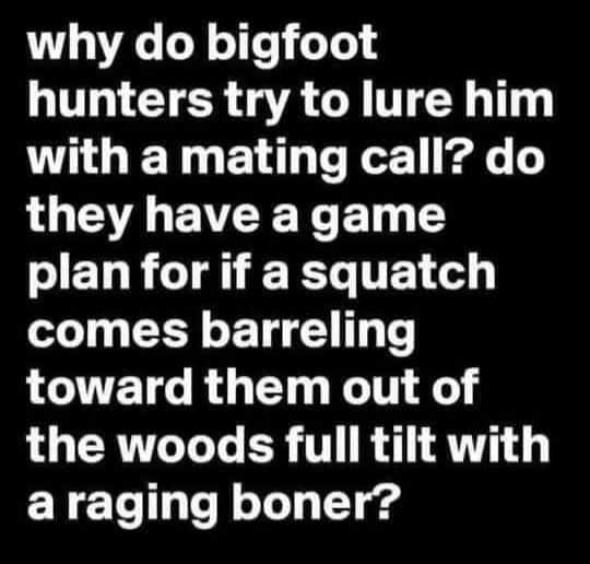 why do bigfoot hunters try to lure him with a mating call? do they have a game plan for if a squatch comes barreling toward them out of the woods full tilt with a raging boner?