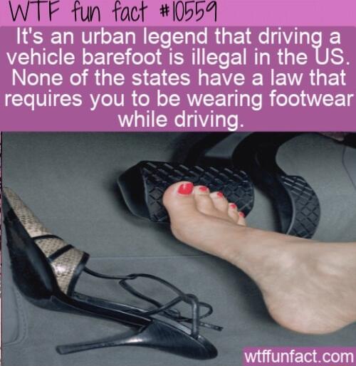 i 1w Its an urban leg end that dnvm vehicle barefoot CRIIECEIRLRGEROSH NN RGEES E1EH have ENEAGEY requires you to be wearing footwear while driving 1 wiffunfactcom