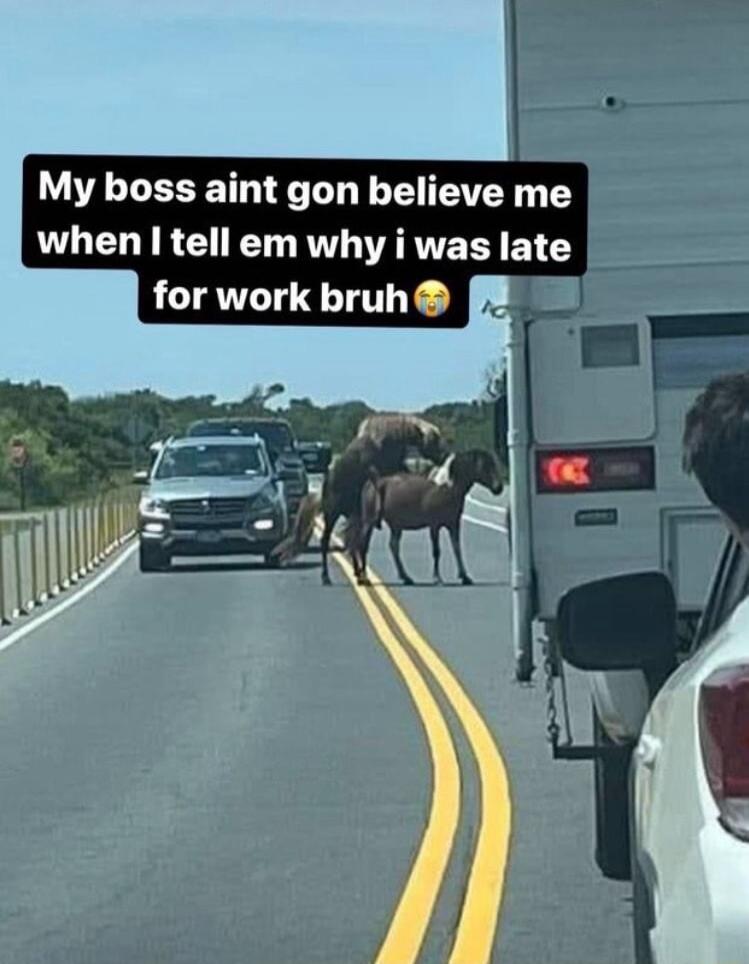 My boss aint gon believe me when I tell em why i was late