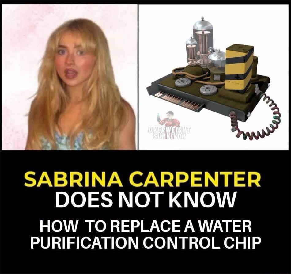 SABRINA CARPENTER DOES NOT KNOW HOW TO REPLACE A WATER PURIFICATION CONTROL CHIP