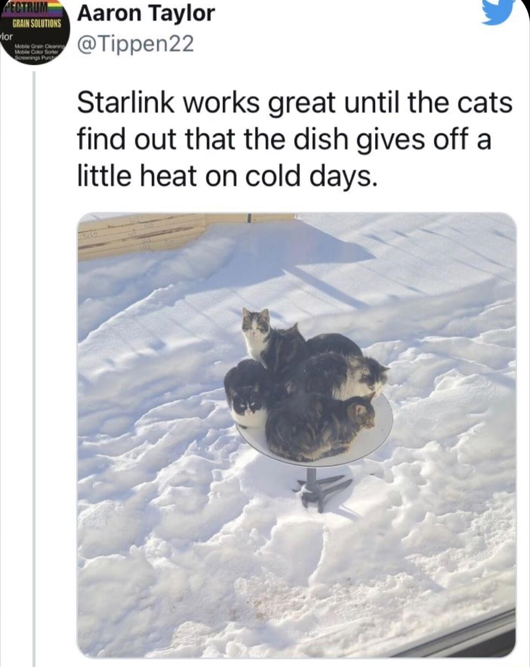 Aaron Taylor Tippen22 Starlink works great until the cats find out that the dish gives off a little heat on cold days