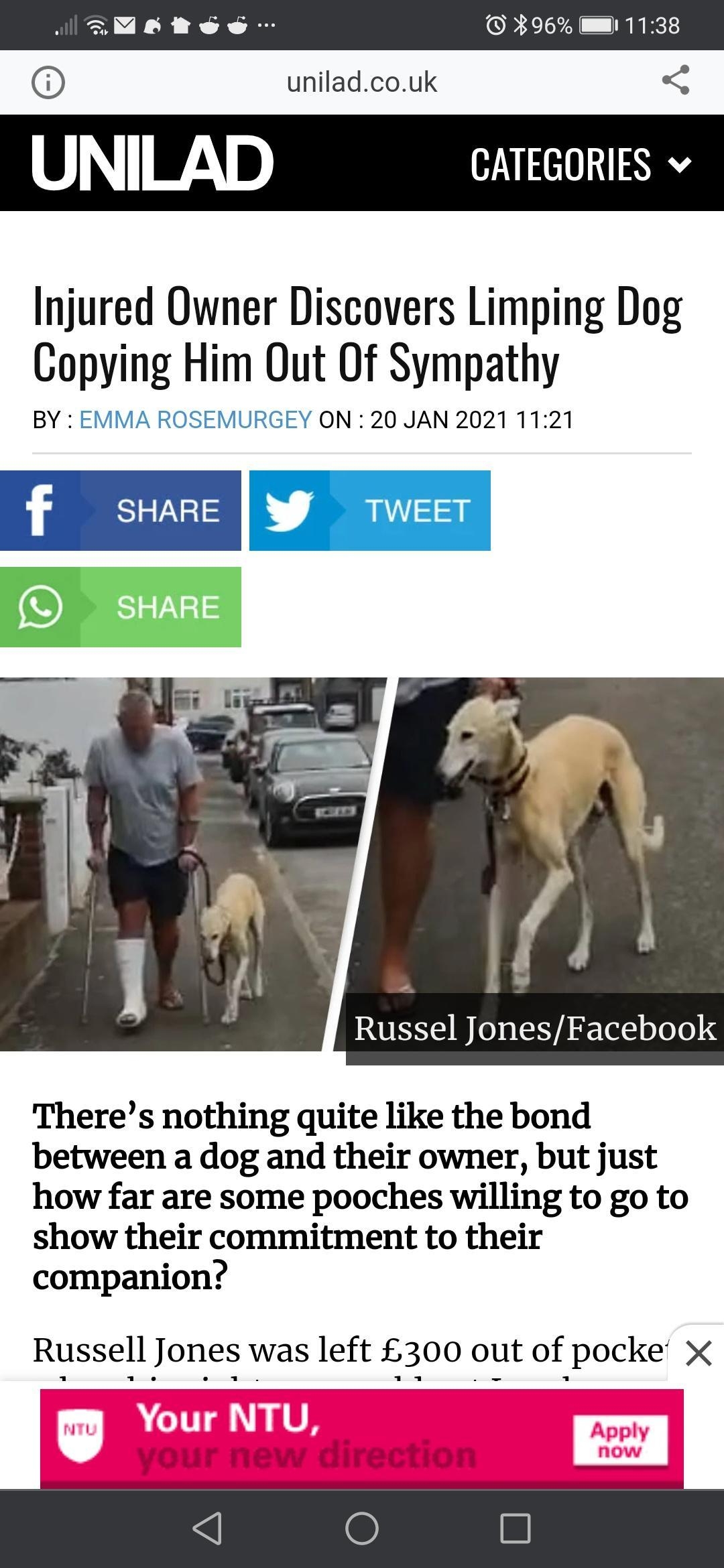 NIENVR XX 96 1138 uniladcouk IWAD CATEGORIES v Injured Owner Discovers Limping Dog Copying Him Out Of Sympathy BY EMMA ROSEMURGEY ON 20 JAN 2021 1121 Theres nothing quite like the bond between a dog and their owner but just how far are some pooches willing to go to show their commitment to their companion Russell Jones was left 300 out of pocke X