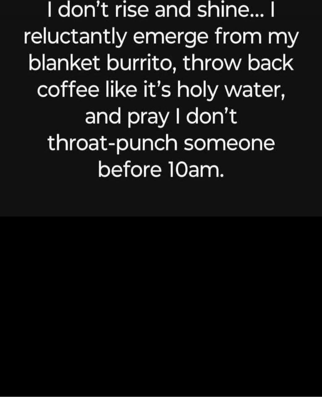 I don’t rise and shine... I reluctantly emerge from my blanket burrito, throw back coffee like it’s holy water, and pray I don’t throat-punch someone before 10am.