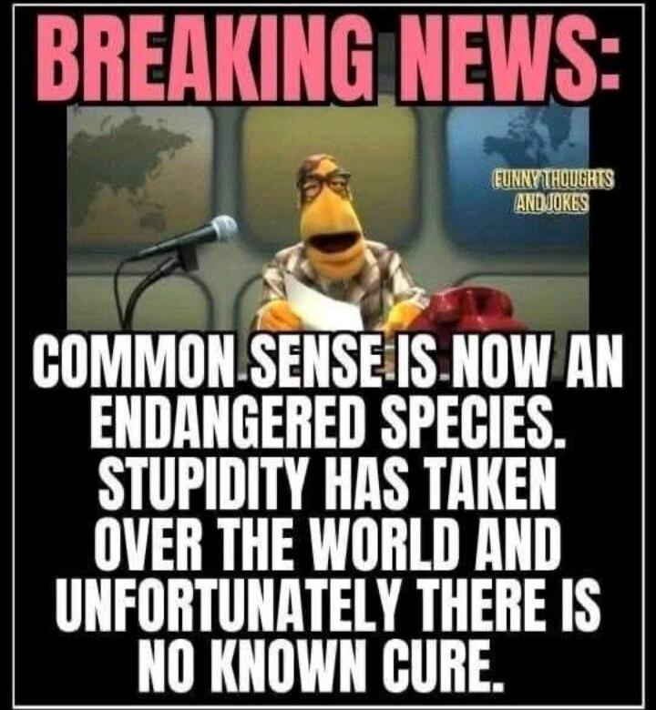BREAKING NEWS: COMMON SENSE IS NOW AN ENDANGERED SPECIES. STUPIDITY HAS TAKEN OVER THE WORLD AND UNFORTUNATELY THERE IS NO KNOWN CURE. FUNNY THOUGHTS AND JOKES