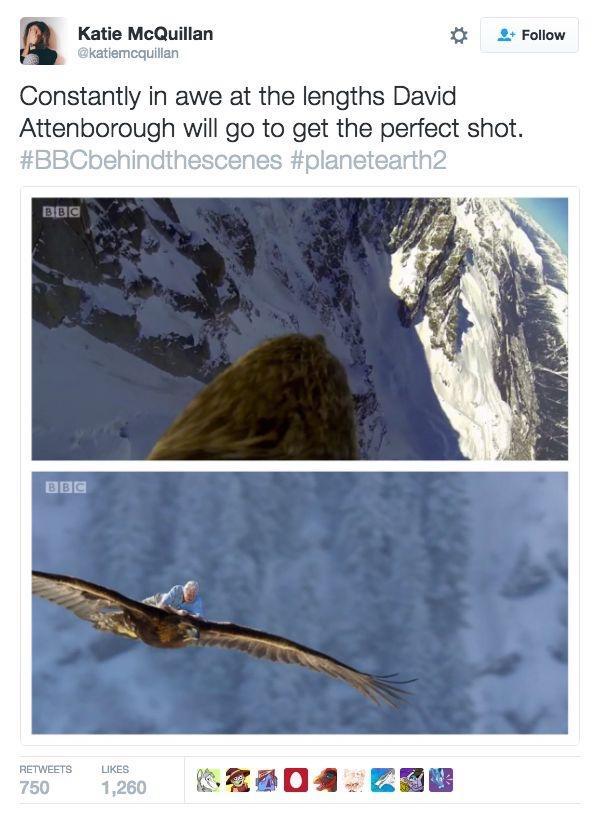 n Katie McQuillan 2 Follow cquillan Constantly in awe at the lengths David Attenborough will go to get the perfect shot apa za8