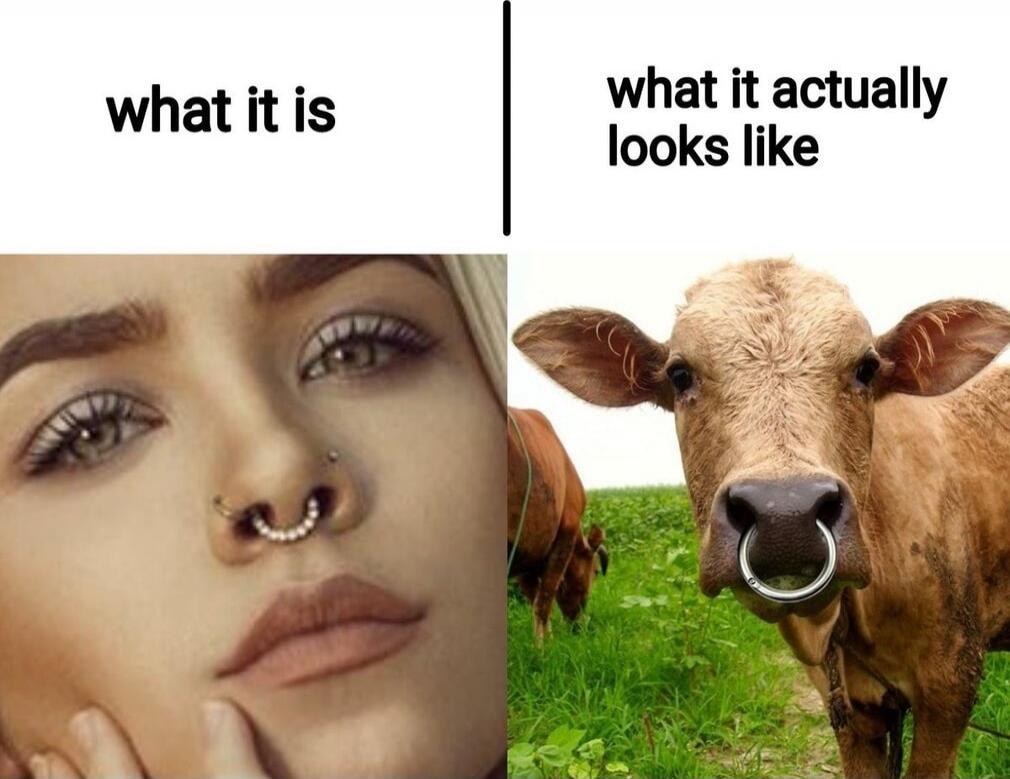 what it is
what it actually looks like