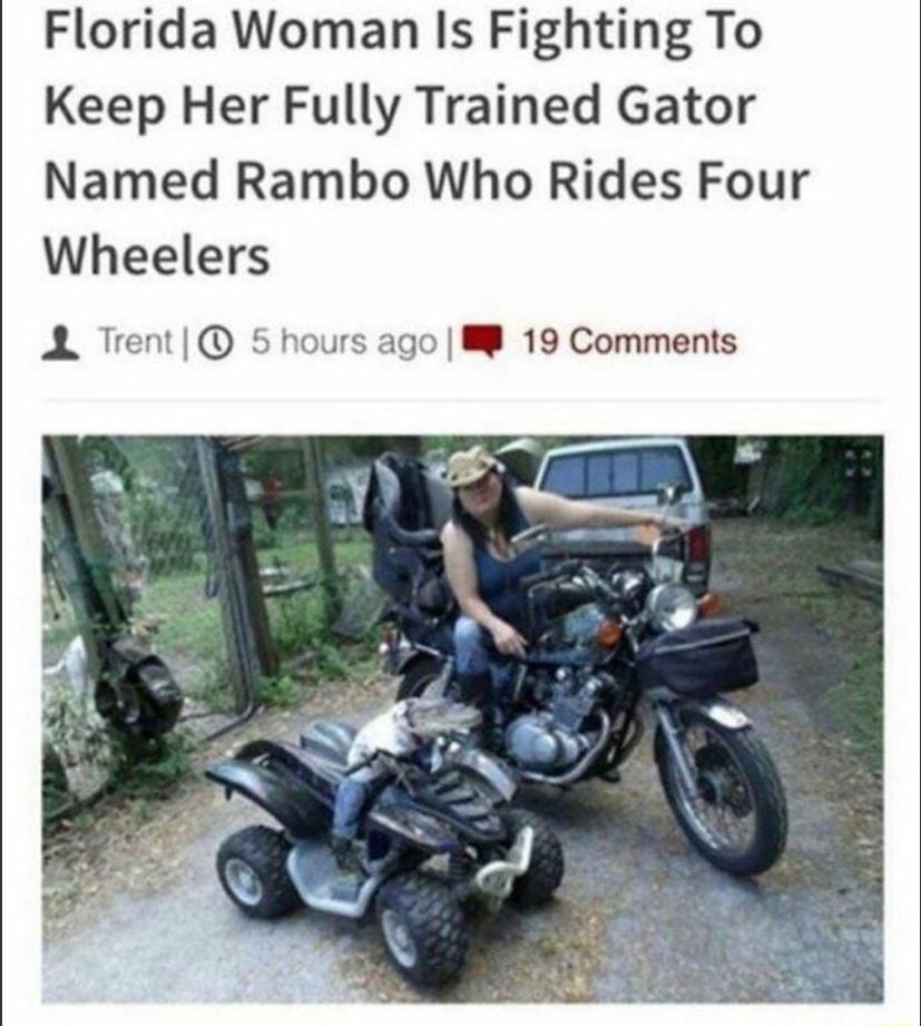 Florida Woman Is Fighting To Keep Her Fully Trained Gator Named Rambo Who Rides Four Wheelers A Trent 5 hours ago 19 Comments