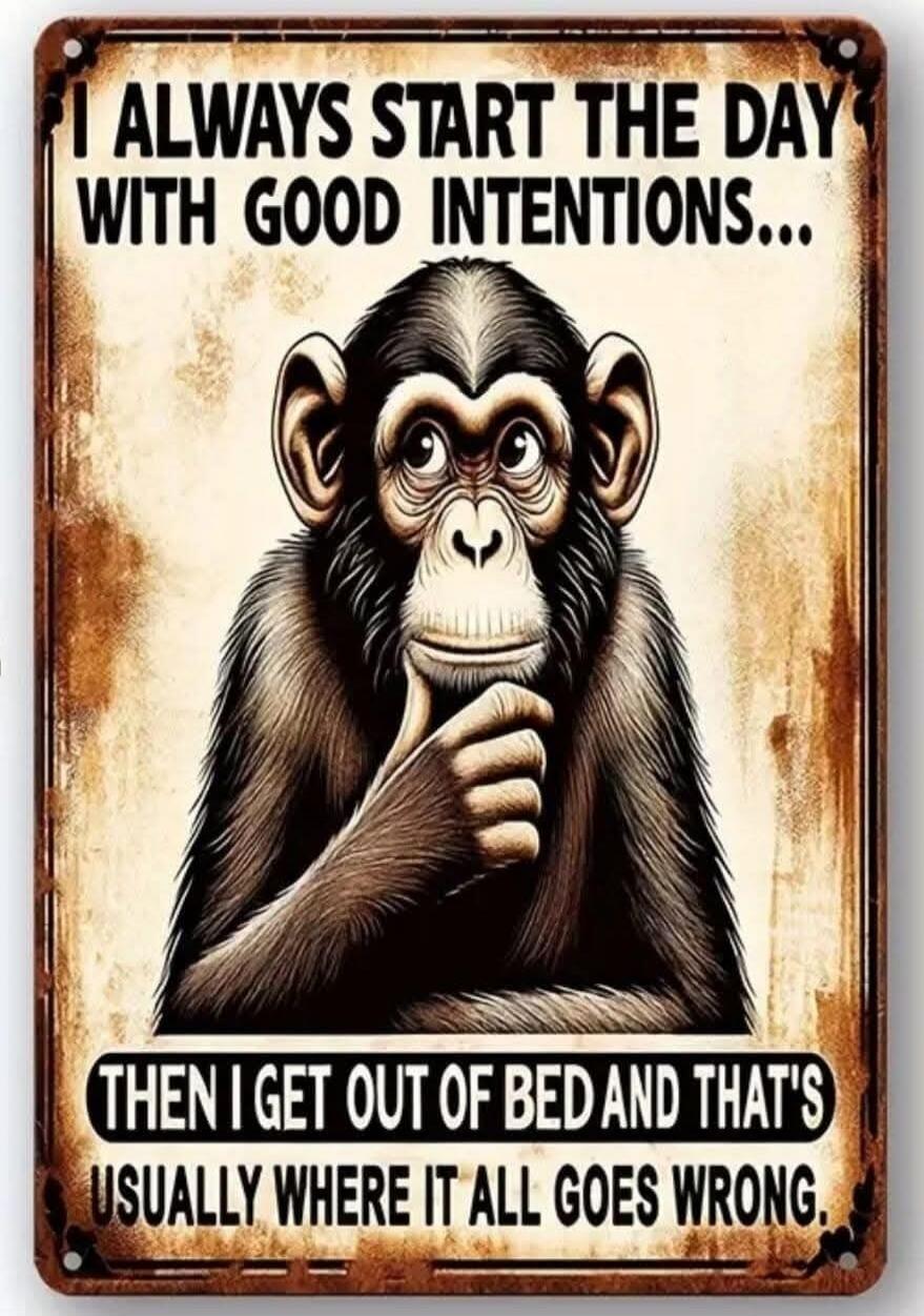I ALWAYS START THE DAY WITH GOOD INTENTIONS... THEN I GET OUT OF BED AND THAT'S USUALLY WHERE IT ALL GOES WRONG.