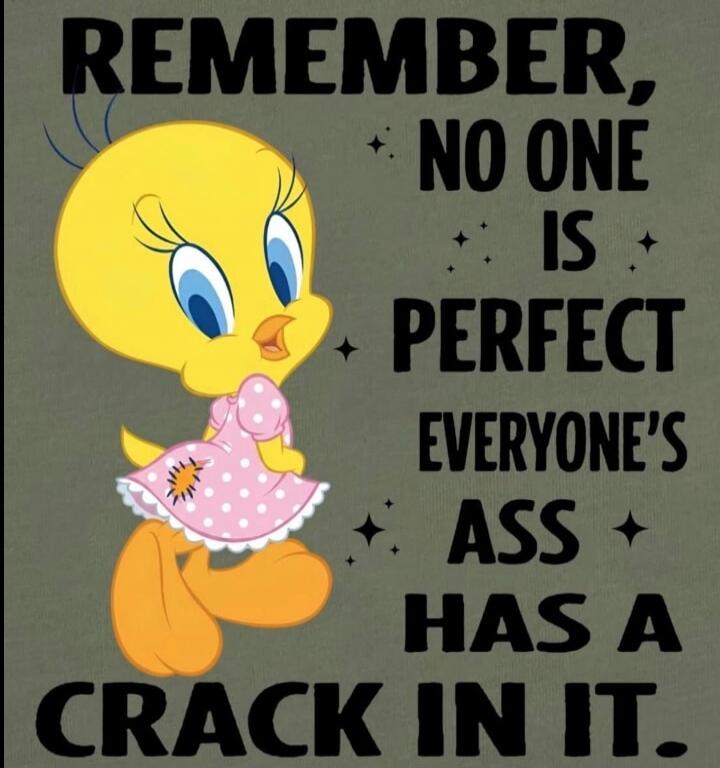 REMEMBER, NO ONE IS PERFECT EVERYONE'S ASS HAS A CRACK IN IT.