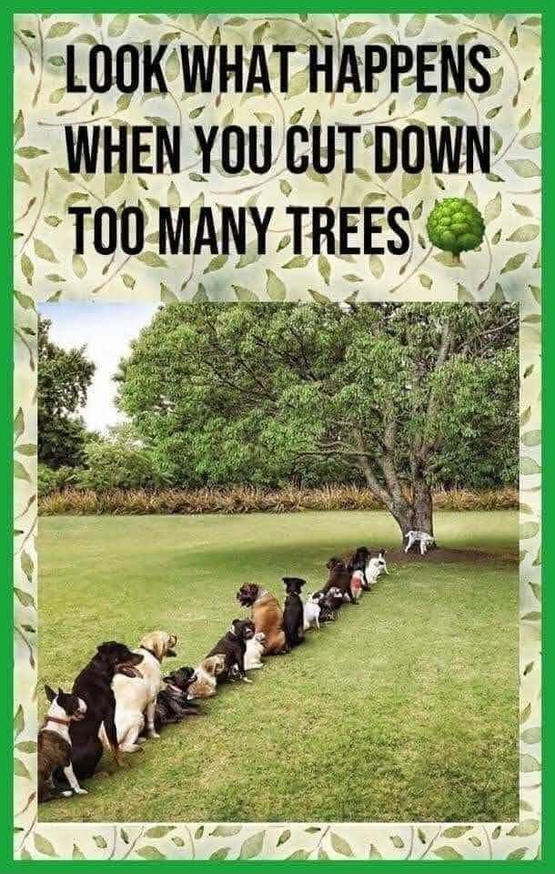 N umK WHAT HAPPENS WHEN You l uown