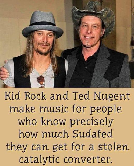 g S K id Rock and Ted Nugent make music for people who know precisely how much Sudafed they can get for a stolen catalytic converter