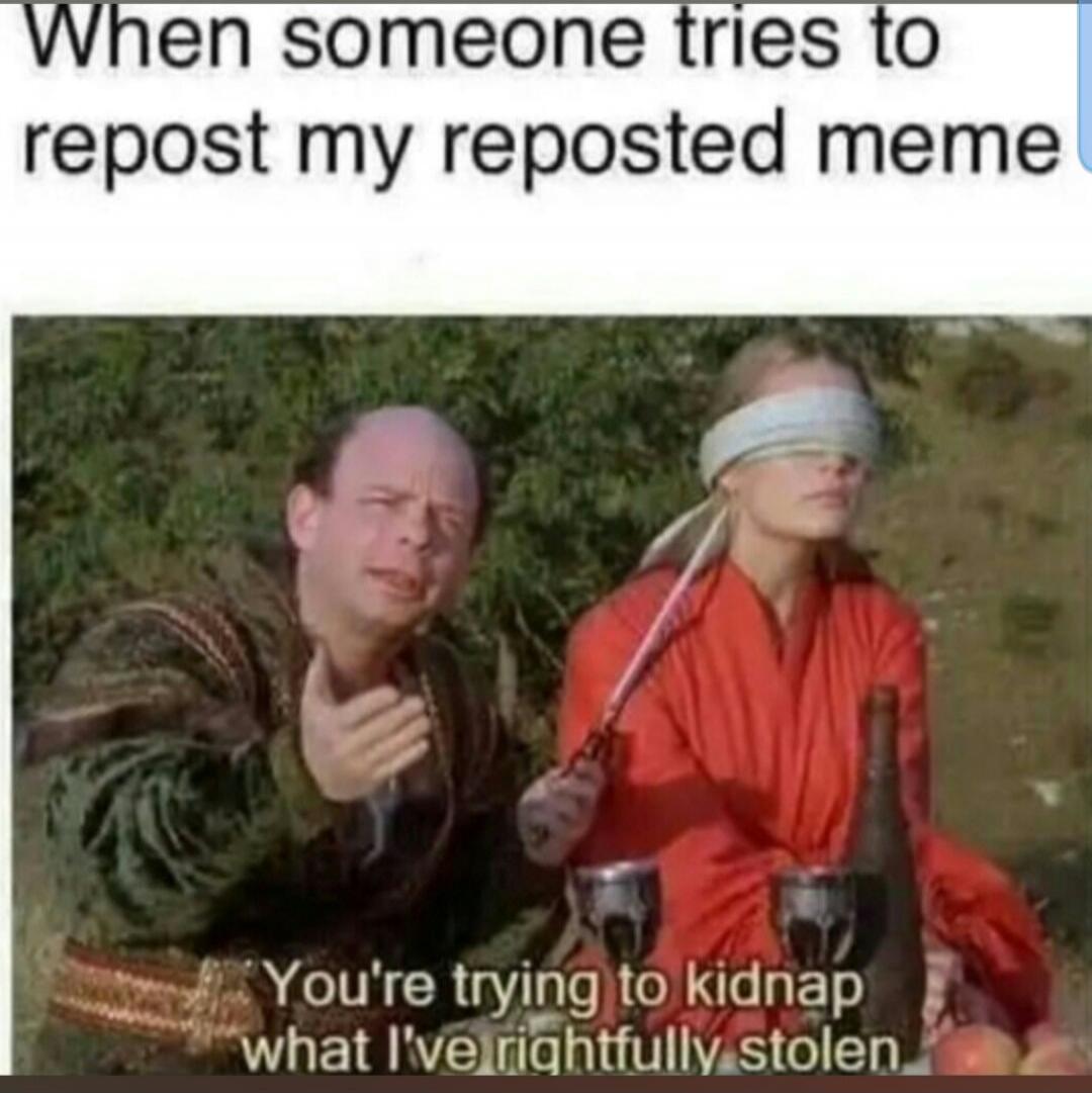 When someone tries to repost my reposted meme You're trying to kidnap what I've rightfully stolen.