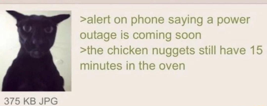 Anonymous 071922Tue100103 No69462 alert on phone saying a power outage is coming soon the chicken nuggets still have 15 minutes in the oven