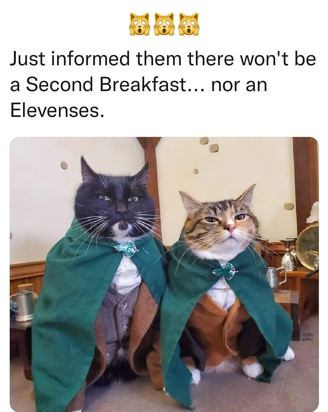 ot bk P Just informed them there wont be a Second Breakfast nor an Elevenses