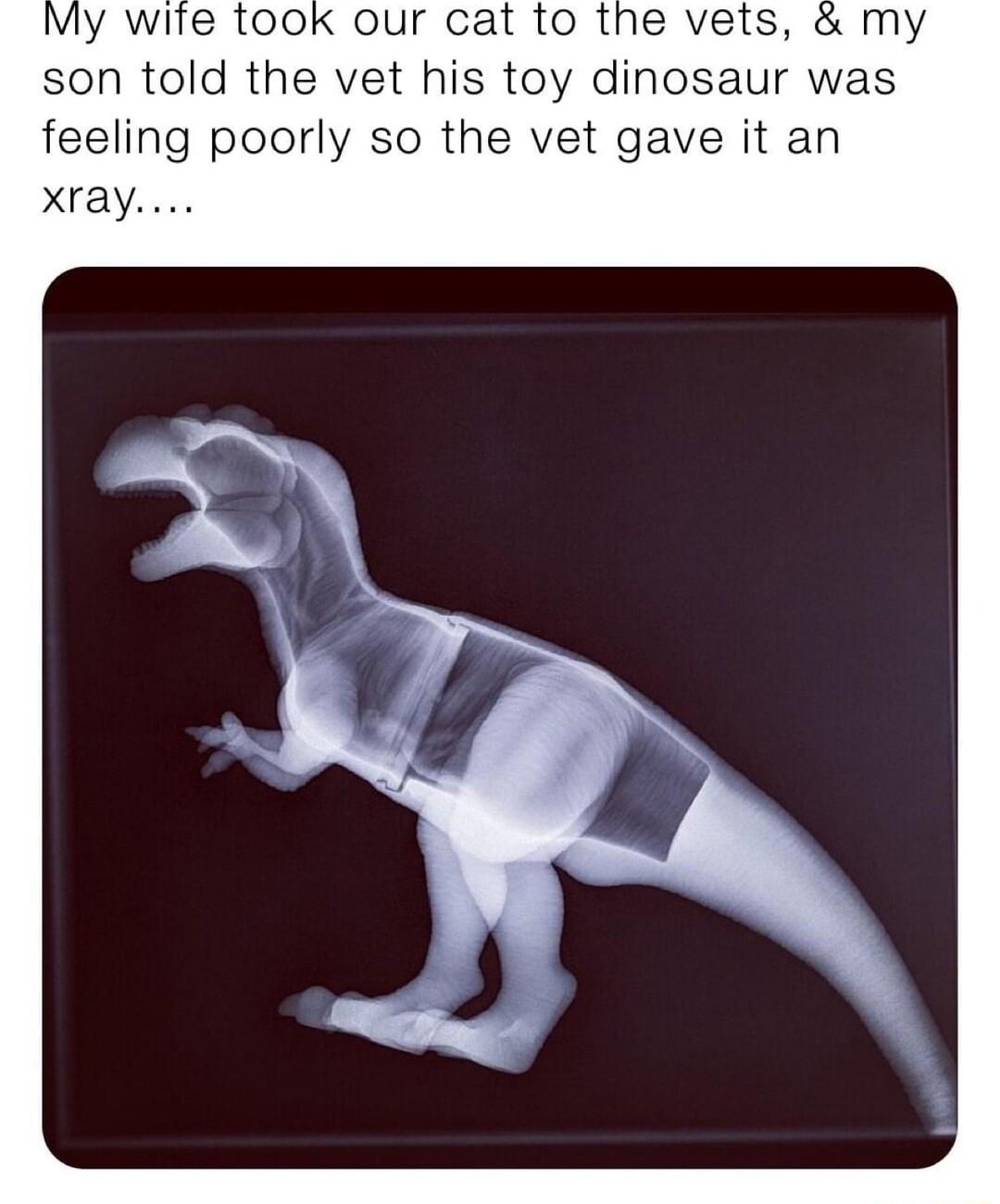 My wife took our cat to the vets my son told the vet his toy dinosaur was feeling poorly so the vet gave it an xray