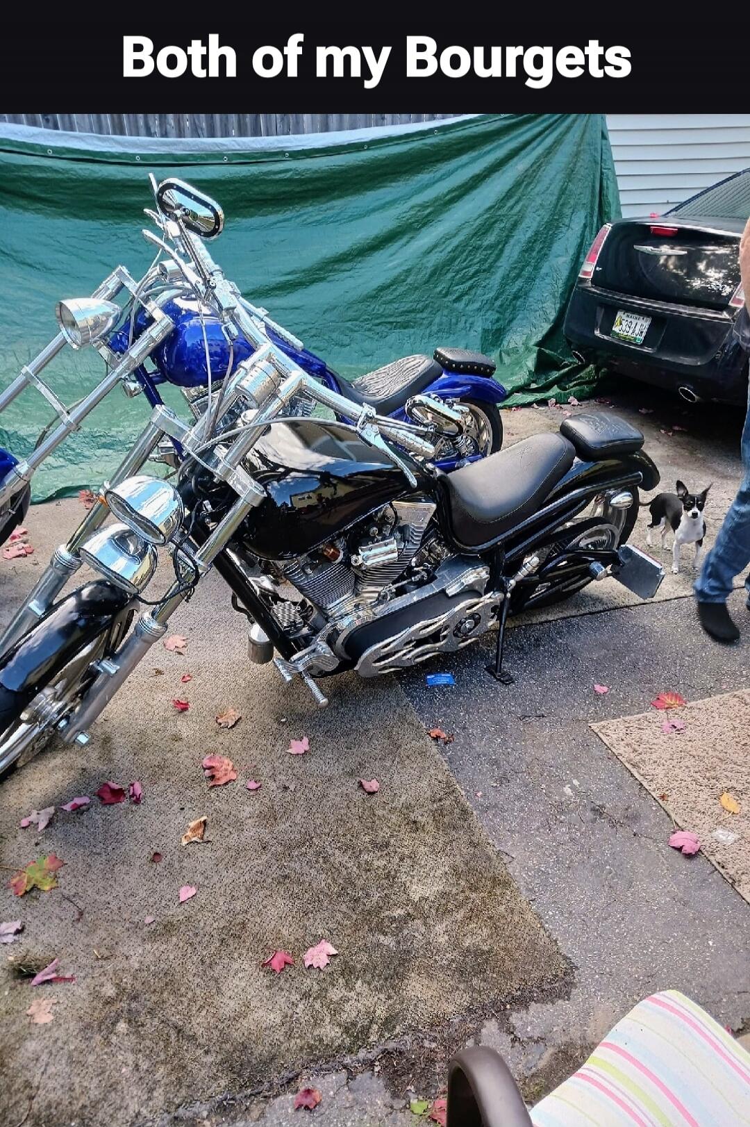 Both of my Bourgets