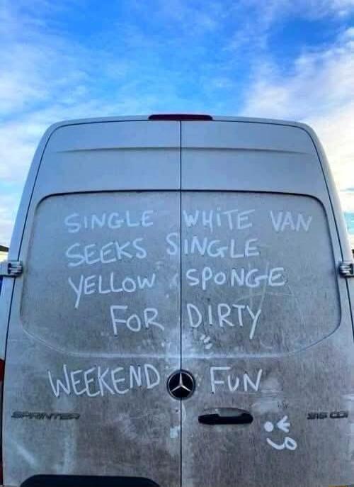 SINGLE WHITE VAN SEEKS SINGLE YELLOW SPONGE FOR DIRTY WEEKEND FUN