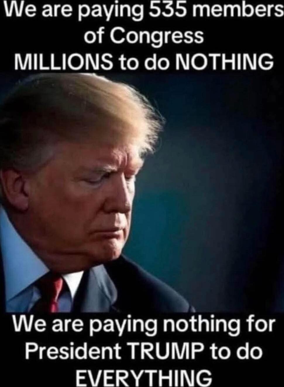 We are paying 535 members of Congress MILLIONS to do NOTHING\nWe are paying nothing for President TRUMP to do EVERYTHING